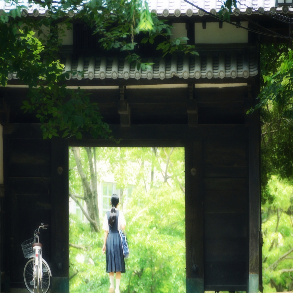 夏の風光る道