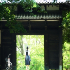 夏の風光る道