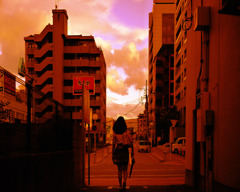 夕日に向かって