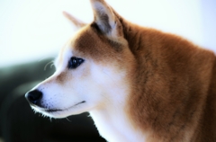 ＹＵＫＩ