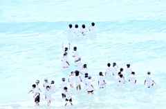 夏の思い出