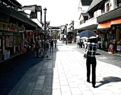 日常を忘れ旅にでよう！