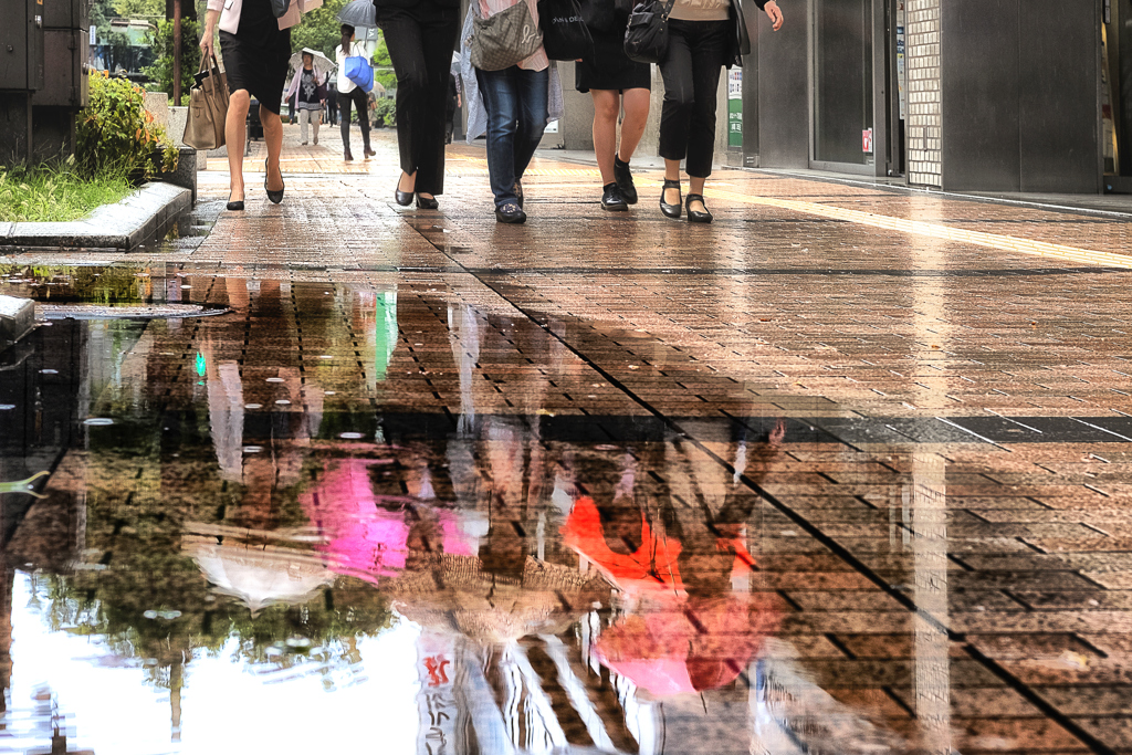雨の街を