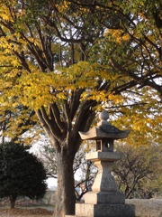 公園
