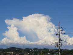 波雲.2
