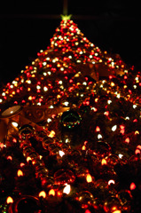 DisneyLand クリスマスツリー