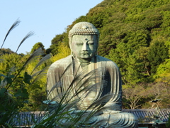 鎌倉の大仏様