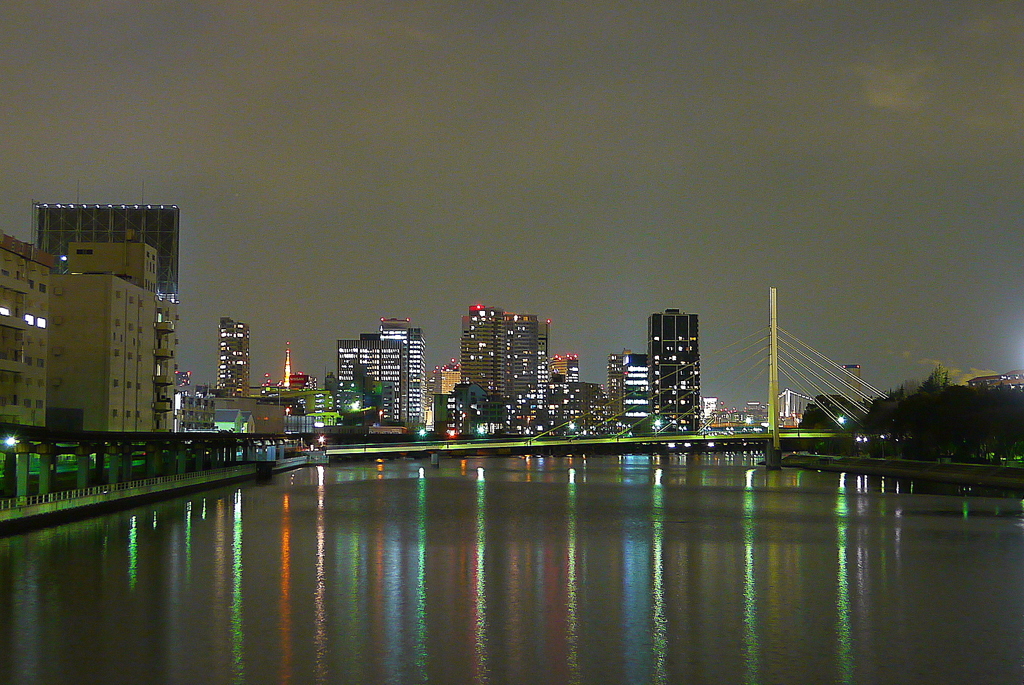 The Tokyo Night