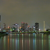 The Tokyo Night