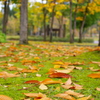 公園