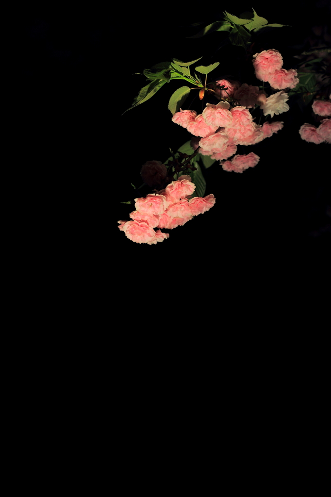 和模様