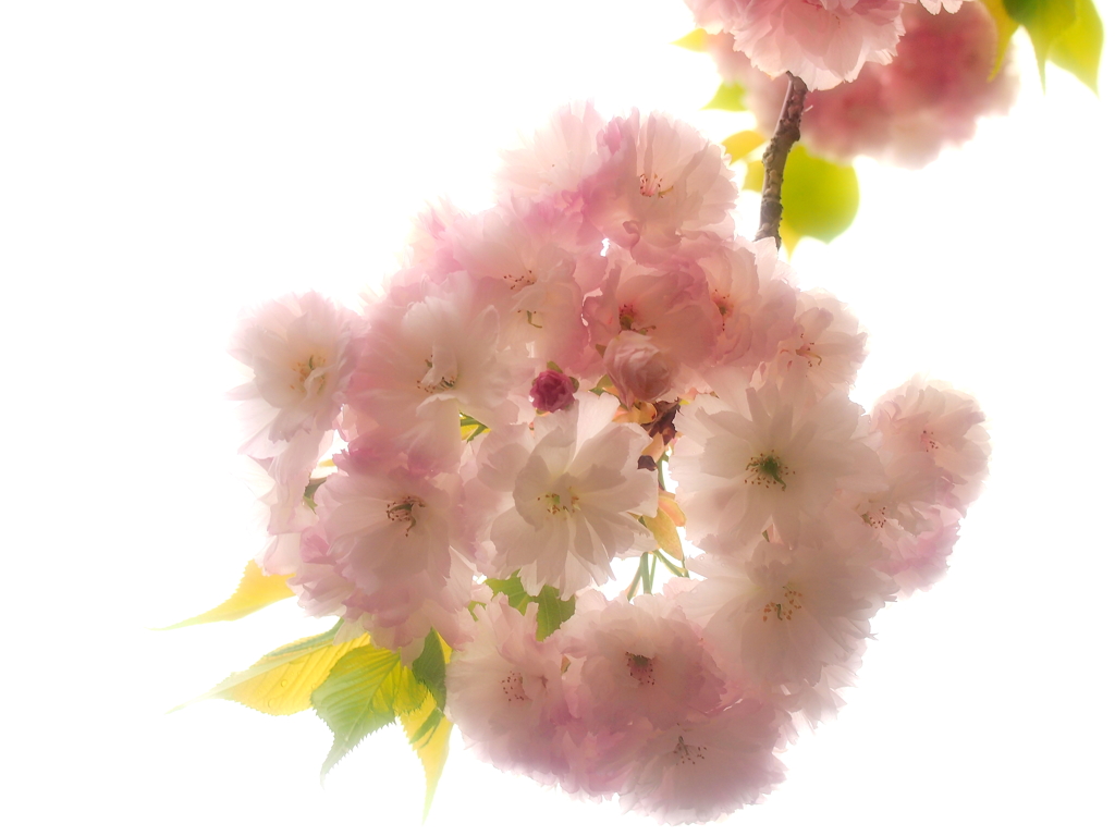 主役は「わ・た・し」