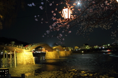 錦帯橋　～夜桜～
