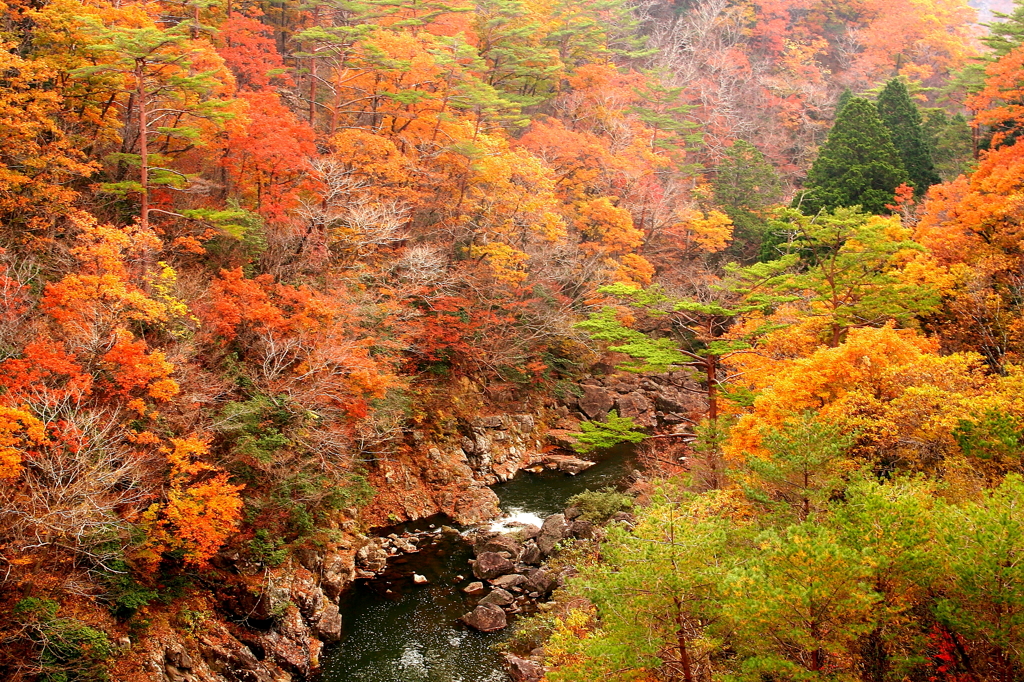 山の色彩