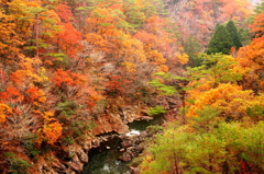山の色彩