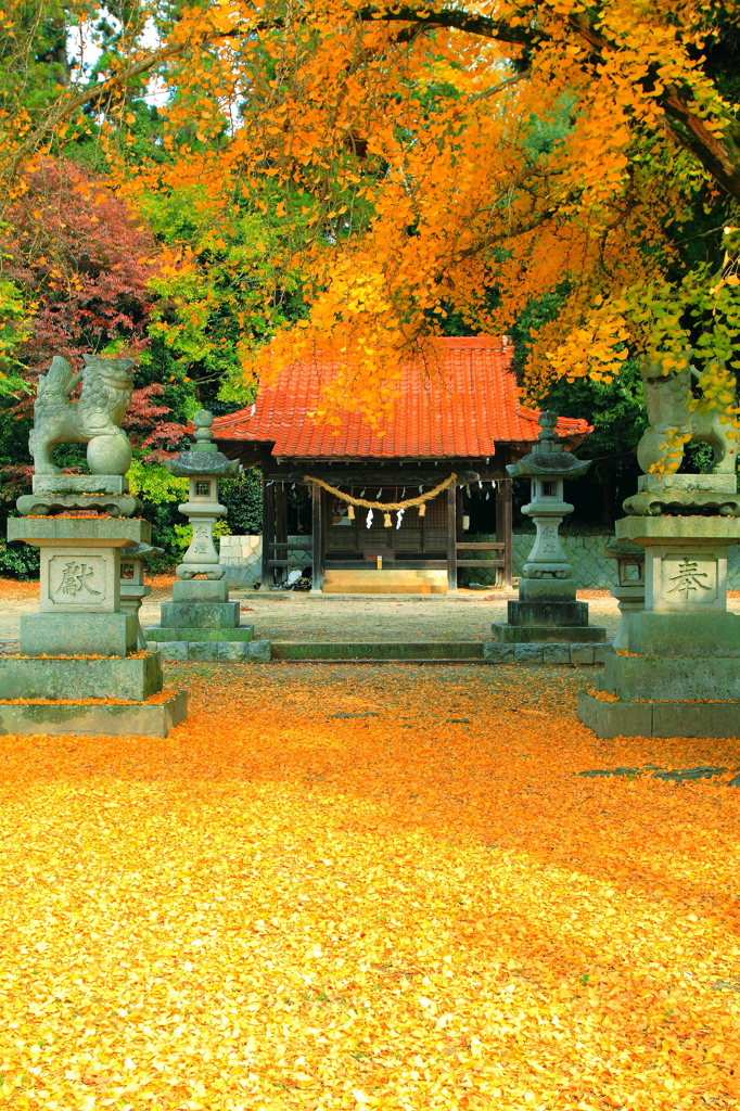 秋の神社