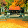 秋の神社