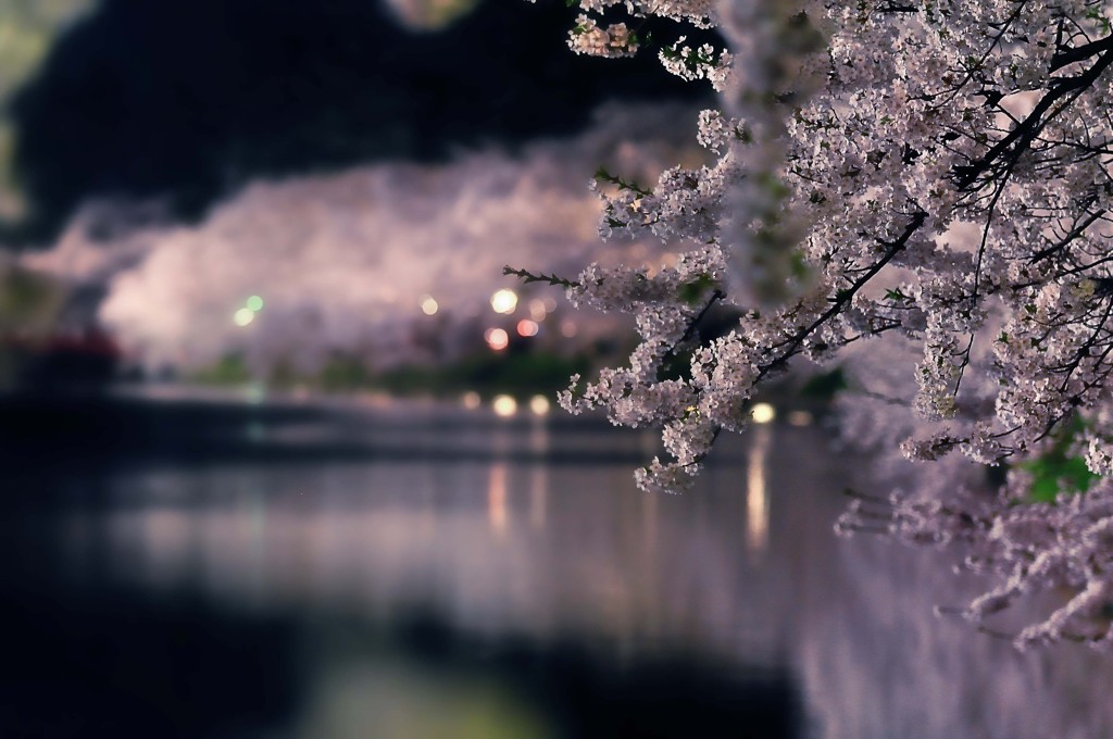 at night