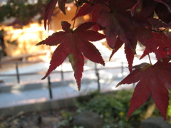 須磨寺
