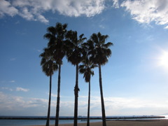 須磨海浜公園