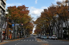 甲州街道秋の道