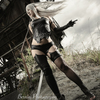 A2