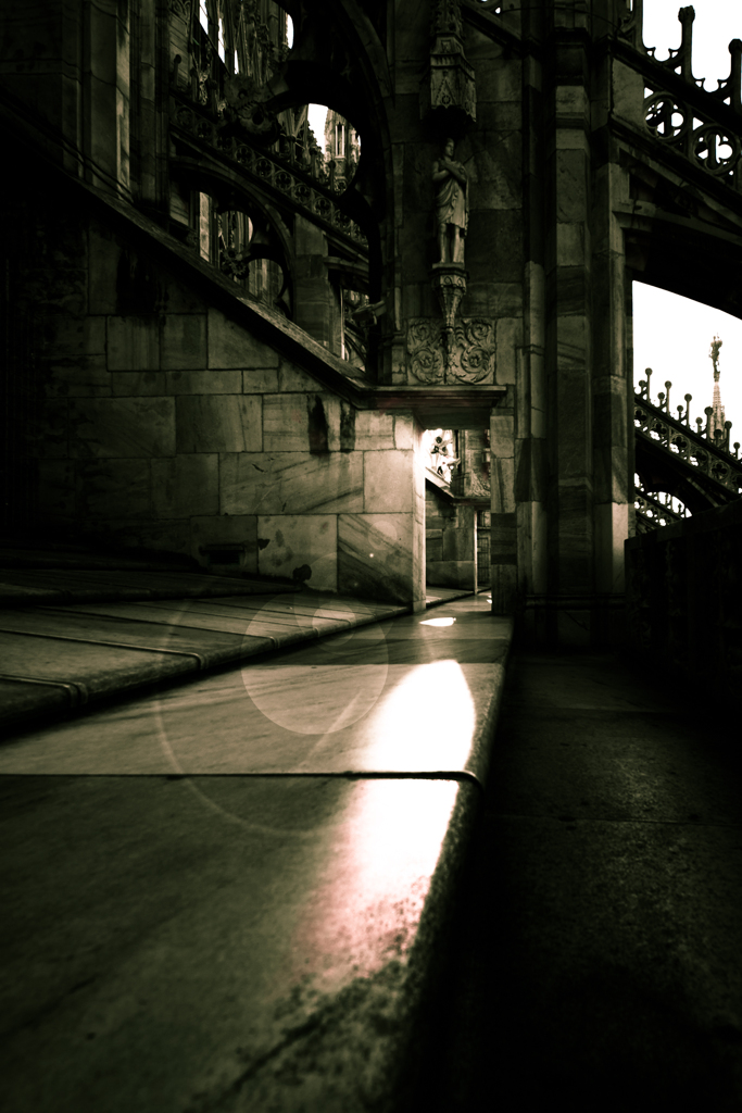 The Roof of the Duomo di Milano