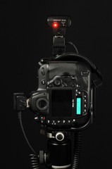 D4S