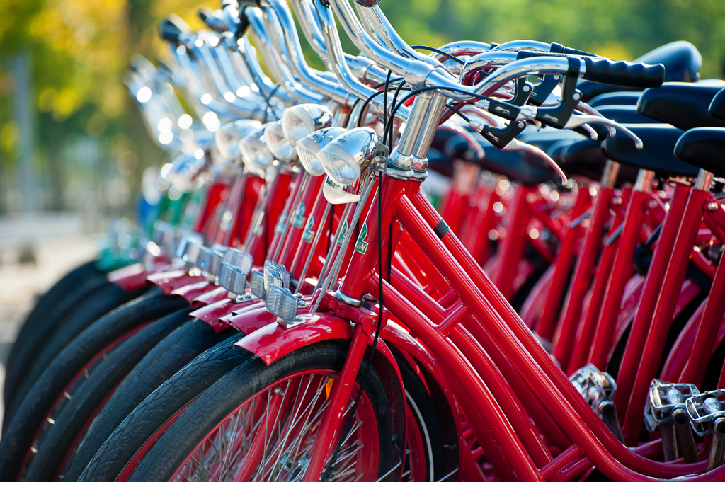 自転車の秋