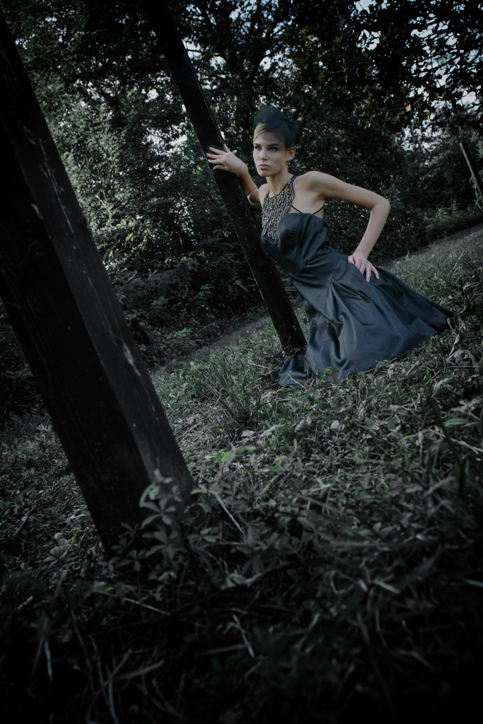 Black swan