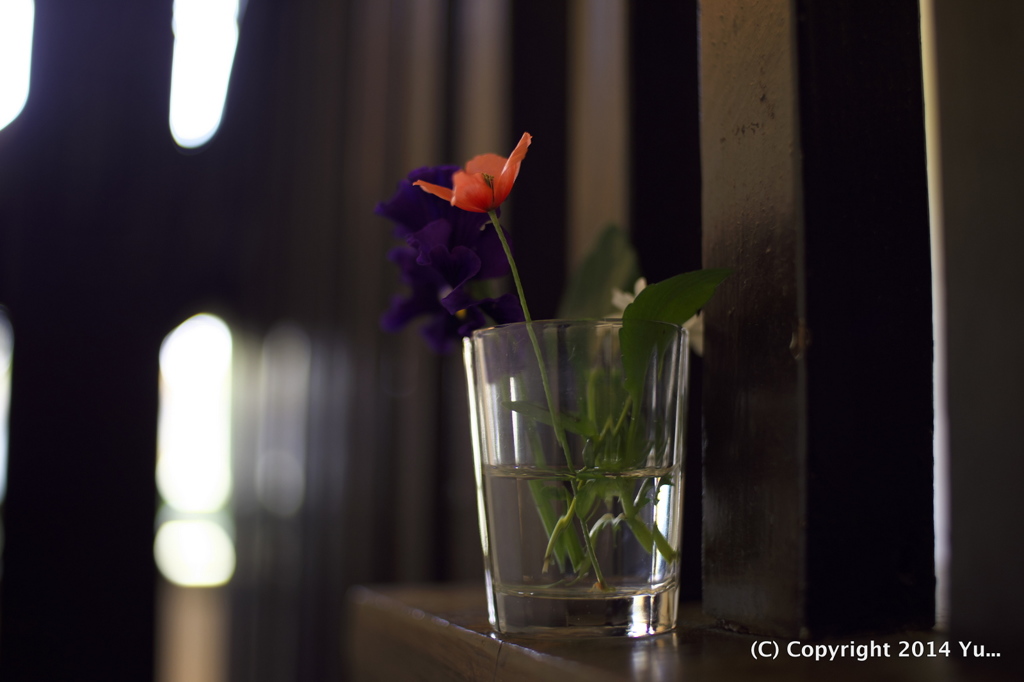 Flower