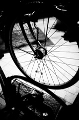 monochrome no 1