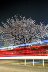 SAKURA&BEAM