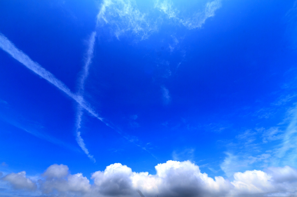ＢＬＵＥ　ＳＫＹ！