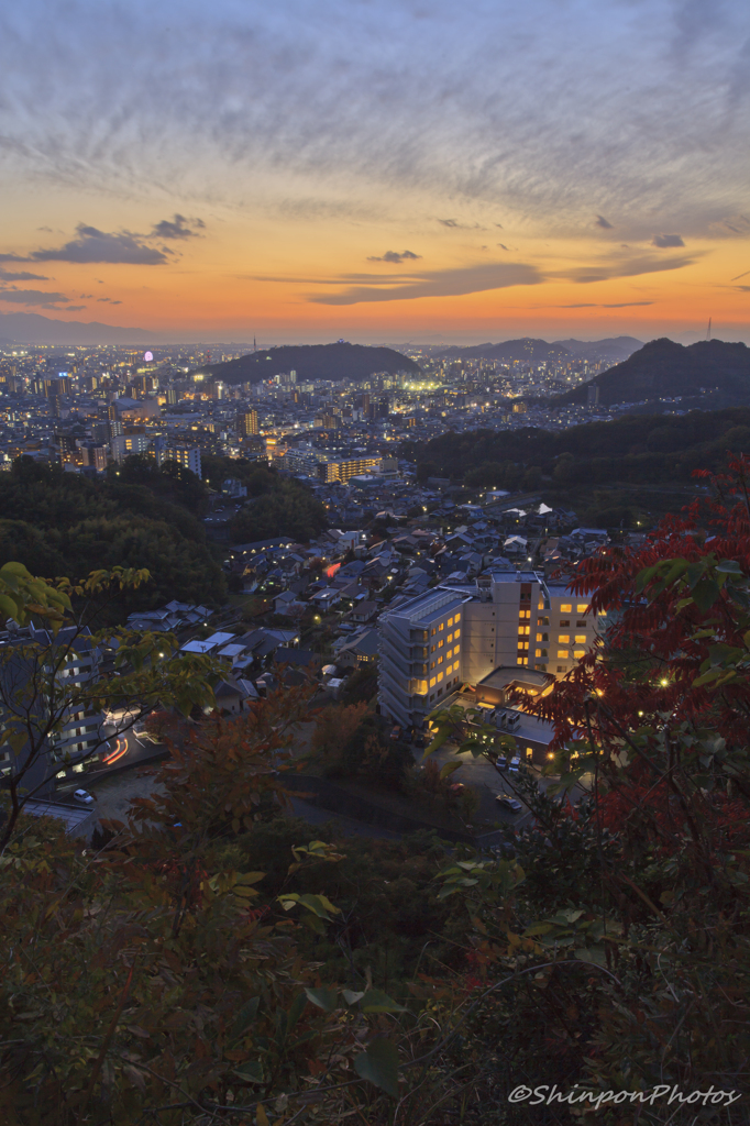 松山城のある景色