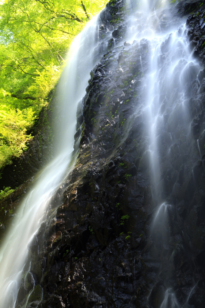白猪の滝　４