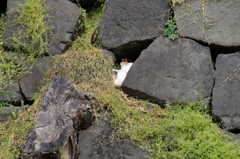 穴場