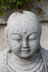 不動心