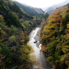 多摩川沿いの紅葉