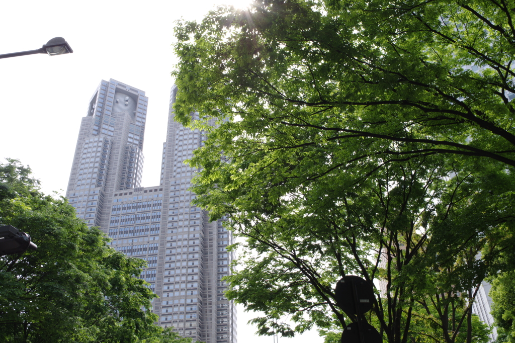 新緑都庁