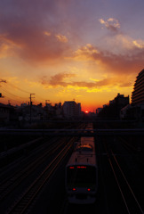 夕陽と山手線