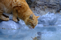 浄水