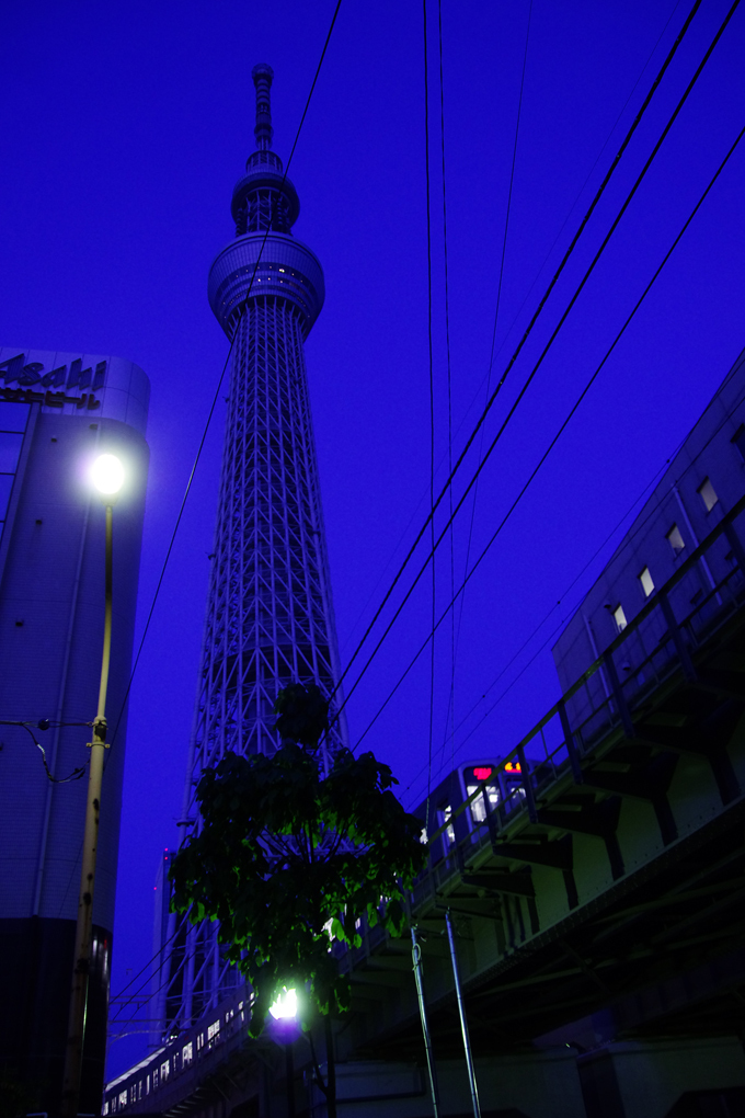 宵ツリー（デビュー前）