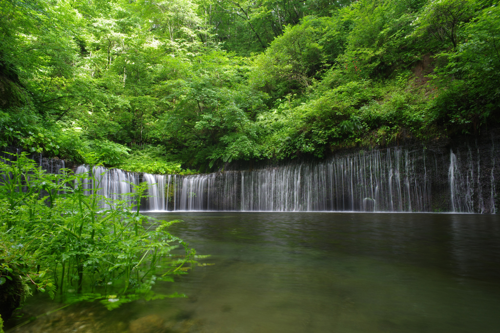 信州白糸の滝(2)