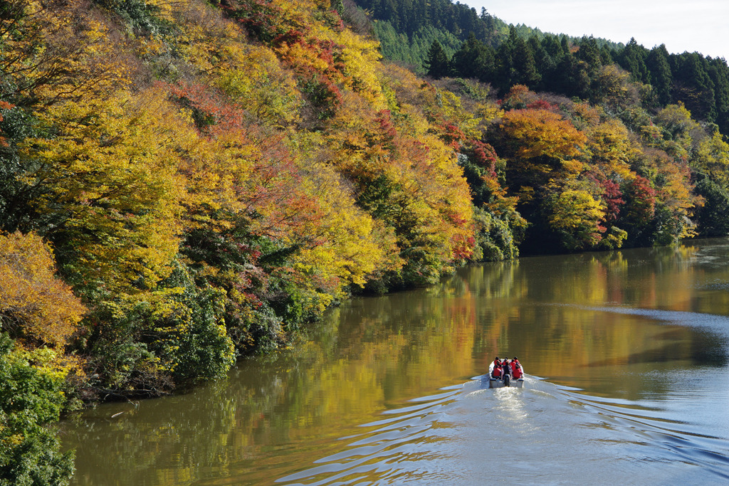 亀山湖の紅葉