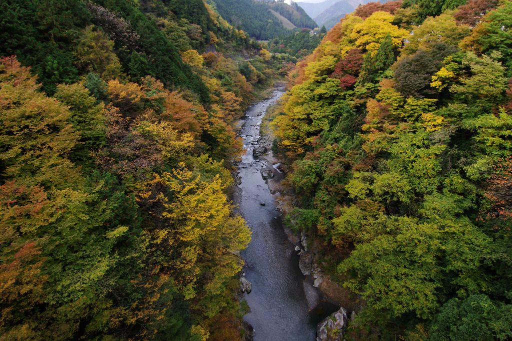 奥多摩の紅葉