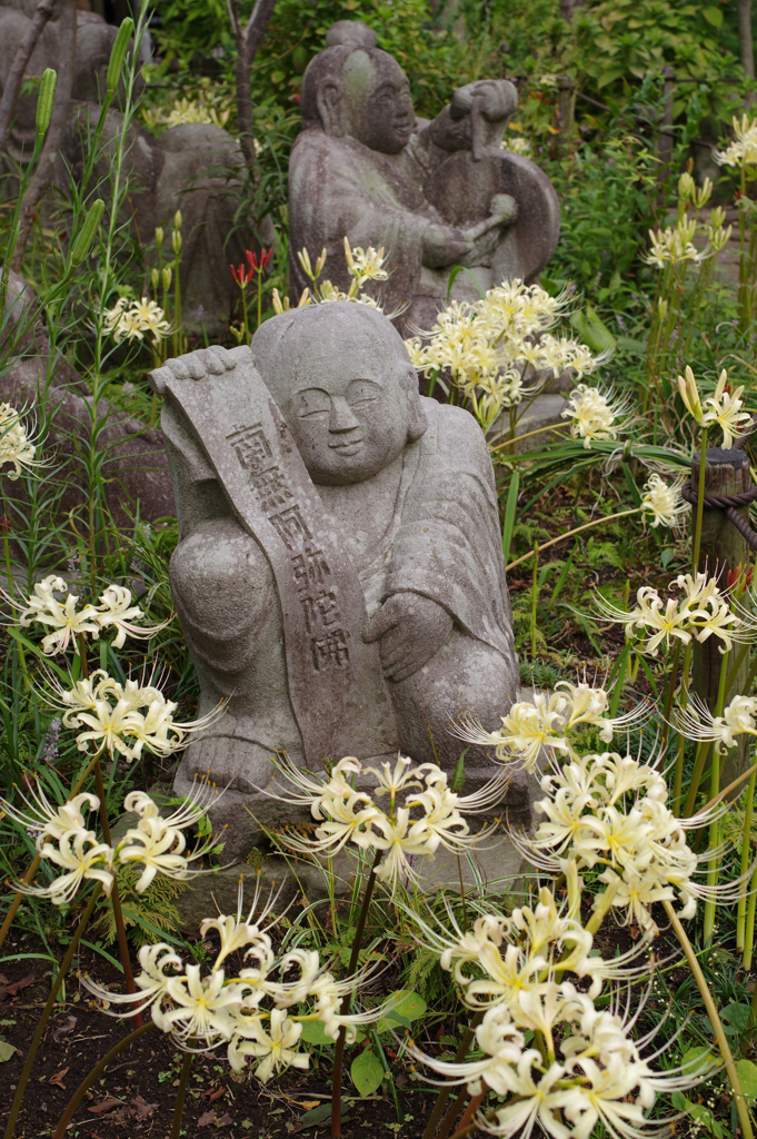 常泉寺(2)