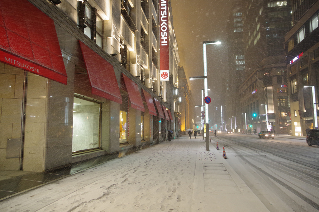 大寒過ぎの大雪