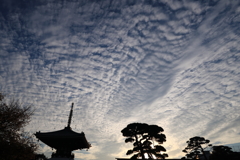 秋雲