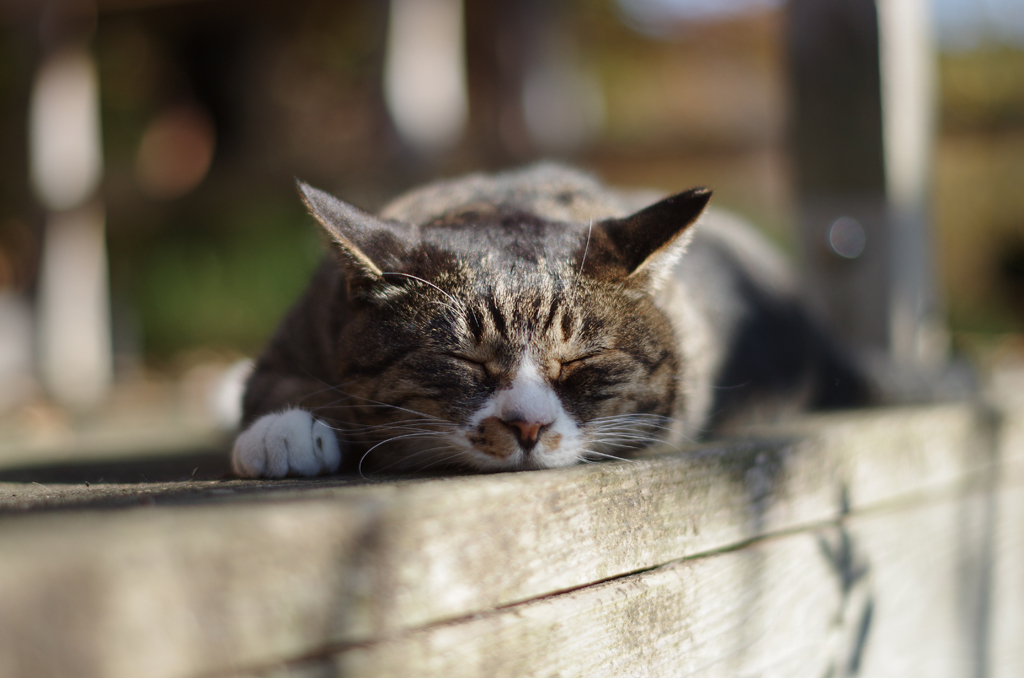 リラックスタイム